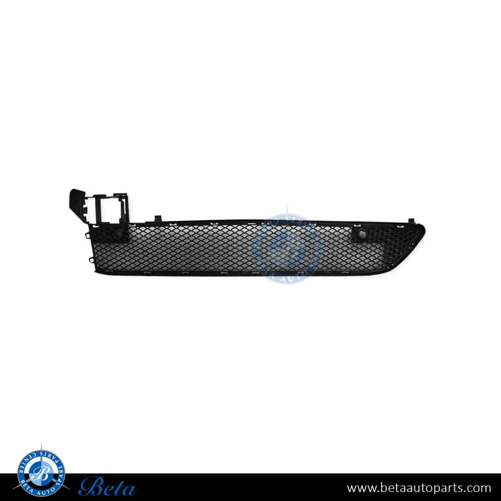 Front Bumper Lower Grille for Mercedes B-Class W246 2015-2018 models, Part Number 2468852322 Front Bumper Lower Grille for Mercedes B-Class W246 2015-2018 models, Part Number 2468852322